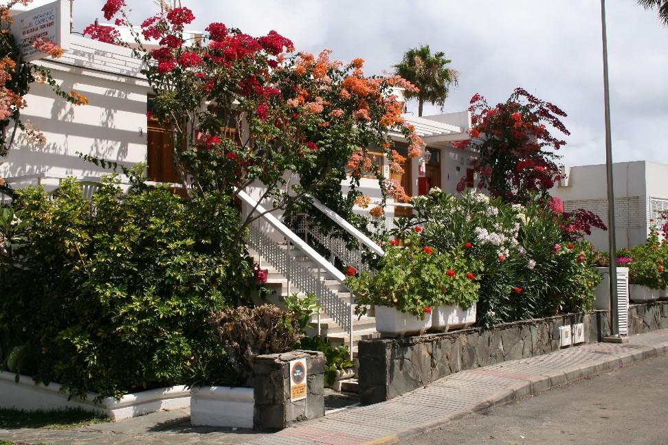Apartamentos El Capricho Maspalomas  Exterior photo